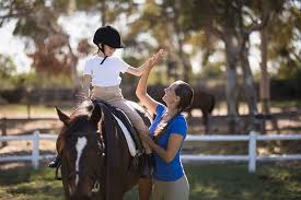 Los caballos de equitación se seleccionan de muchas razas diferentes. Finding A Horse Trainer Who S Right For You Or Your Child The Horse