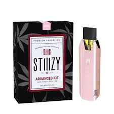 Stiiizy Biiig Battery - Advanced Kit | Discount Vape Pen