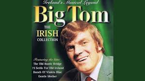 A Bunch Of Violets Blue