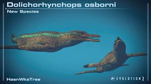 Image result for Dolichos junodii