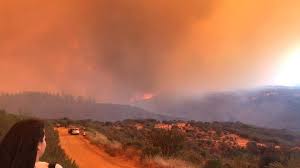 Entre tanto, las autoridades opinan que el incendio fue intencional. 12t0uvhz3bqgum