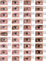 Forty Shades Of Color Dna Goes To Court Nature Biotechnology Eye Color Facts Eye Color Chart Blue Eye Color