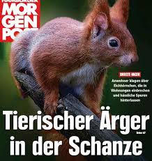 Durch die geöffnete balkontür kamen sie in die wohnung. Tierischer Arger In Der Schanze Pressreader