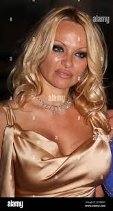 Pam davis hi-res stock photography and images