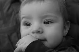 Wild Inspiration Photography