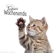 Wir wollen dir tschüs oder tschüs, tschüss oder tschüss sagen. Pin Auf Wochenende Spruche