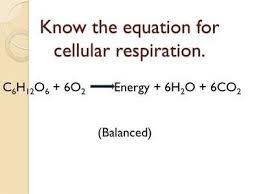 To balance the oxygen atoms for the reactant side, you need to. Not Angka Lagu What Are The Reactants In The Equation For Cellular Respiration Mrs Gay Horry S Classes 6th Grade Science Homework What Was The Indicator That The Switch Was