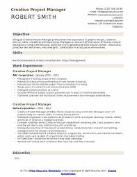 Technical project managers walk the line between project management and information technology. Creative Project Manager Resume Samples Qwikresume