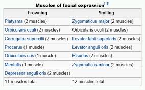 Do You Use Only 14 Muscles To Smile But 43 To Frown