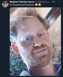 Sorry Harry, William is still the hotter brother… and now the UK's most  popular royal : r/SaintMeghanMarkle