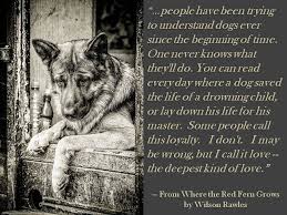 Where The Red Fern Grows Ugg I Love That Book But The Ending Makes Me Cry Every Time Dog Love Shepherd Dog Breeds German Shepherd Dogs