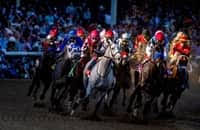 How i will be betting kentucky derby 2021. Ejgt0nnkra9dim
