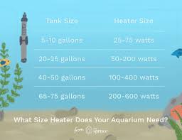 How Size Affects An Aquariums Weight