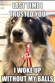 Our team works hard to help you piece ideas together getting started on advertising aspect of the project you're working on. 15 Spay And Neuter Quotes Ideas Neuter Spay Animal Rescue