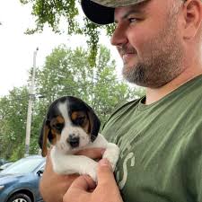 Count the crazies from today's meet up. Nice to meet some newies. Your pups  are gorgeous!