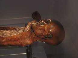 Ötzi ist somit die älteste mumie, die je gefunden wurde. Otzi Die Beruhmte Eismumie Aus Der Jungsteinzeit Was Ist Was
