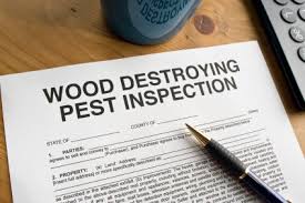 Either the buyer, the seller, or the lending institution can request or require a termite inspection. Termite Inspections Chris Jordan Mortgage Team