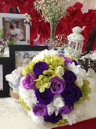 Kết quả hình ảnh cho cẩm tú cầu nhiều màu