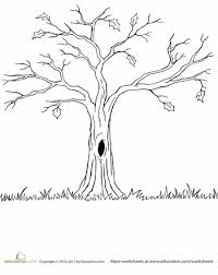 These christmas tree coloring pages are like children who love to draw! Bare Tree Worksheet Education Com Tree Coloring Page Tree Drawing Spooky Tree