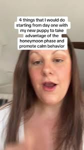 First Day New Golden Lab Puppy