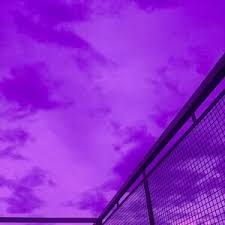 Purple | Aesthetics Wiki | Fandom