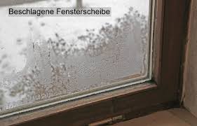 Damit entsteht ein raumklima, das der bildung von schimmelpilz entgegenkommt, denn dieser braucht feuchtigkeit und organische substanzen. Beschlagene Fenster Tauwasser Auf Fenster Baugutachter Klaus Schweikl