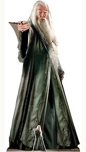How can he be gay? ~ minerva mcgonagall dismissing reports about albus being gay. Professor Albus Dumbledore Harry Potter Charakter Lebensgrosse Pappausschnitt 185cm Partyrama Ch
