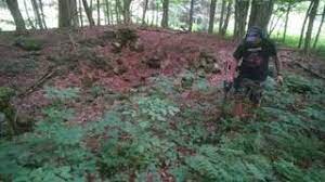 You can not use a metal detector on federal lands, national parks, historical there are 142 areas in washington state that are designated as state parks. Metal Detecting In New Jersey Know The Law