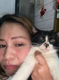 Mga ka BAW tanong lang po ano pong magandang gawin o ipakain sa isang  kuting para itoy maging mataba at malusog? #respect