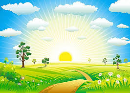 Art Design Summer Sun Background Nature Vector Wallpaper Backgrounds Vector Free