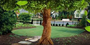 Follow these spring lawn care tips to aerate, fertilize, seed, mow and water your yard to keep your grass green and healthy. Brockman Tree Lawn Care In Perinton Ny Connect2local