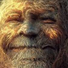 Spoon/Bowl knife recommendations