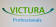 VICTURA Professionals logo
