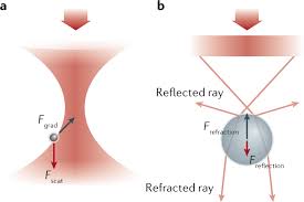 Particles Are Spaced The Farthest Apart In Gases And Are The Closest In  Solids. Select The Answer That Best Completes The Sentence.