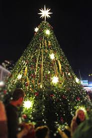 The Great Christmas Tree At The Vancouver Christmas Market Brightened By The Lovely Herrnhut Stars In Wh Vancouver Christmas Market Christmas Market Christmas