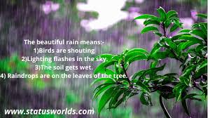 Maybe you would like to learn more about one of these? Best 111 Rain Status Quotes 2021 For Rain Lover People Status World