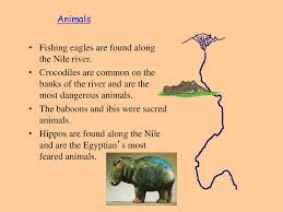 Mystery On The Nile: Just Whose River Is It? : Npr