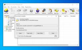 Download internet download manager for windows to download files from the web and organize and manage your downloads. Internet Download Manager 6 38 Build 25 Download For Pc Free