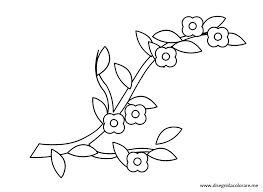 Disegni Di Primavera Ramo Con Fiori Disegni Da Colorare Fiori Disegnati Da Colorare Immagini Di Fiori Disegni Da Colorare