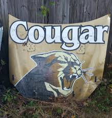 While a climate controlled garage is clearly the best each municipality is going to have it's own laws and regulations on how to license and insure the new nascar that you just purchased. Diamonds In The Rough Nascar Ebay Findings Official Site Of Nascar