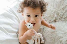 9 Best Teethers Teething Toys Of 2020