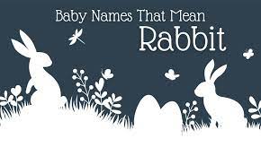 Baby Names That Mean Rabbit Momswhothink Com