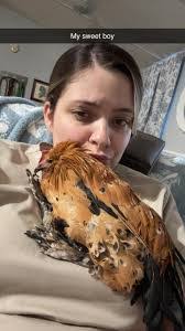 Noel Tinker's Instagram, Twitter & Facebook