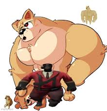 Lmao buff doge and cheems rule 34 - Imgflip