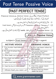 The past continuous (progressive) tense grade/level: Past Tense Passive Voice With Examples And Urdu Explanation