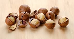 Check spelling or type a new query. Nuts Seeds And Your Pet What You Should Know Petcoach