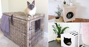 Some cats just plain are not a fan of using litter boxes that are covered in any way, shape, or form (oddly enough, i've. 42 Diy Cat Litter Box Best Diy Cat Litter Box Bright Stuffs