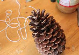 Spread the peanut butter onto your pinecone. Pinecone Bird Feeder Frugal Fun For Boys And Girls