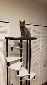 Cat Tree 15 Step Spiral Tower Best Modern Cat Furniture Idea Etsy In 2020 Modern Cat Furniture Modern Cat Cat Stairs