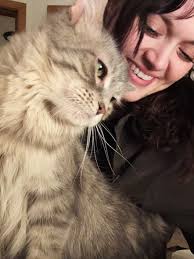 Anthony Negrete (@lowaura_music) • Instagram photos and videos